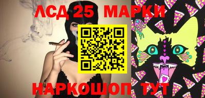 МДПВ Тула
