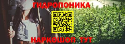 прущие грибы Тулун