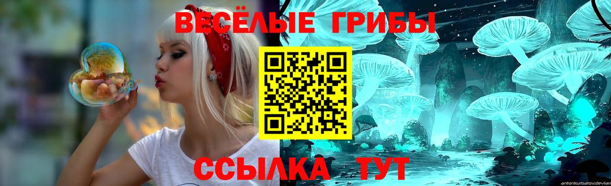 Псилоцибиновые грибы Cubensis Асбест